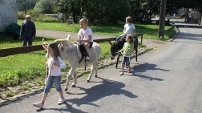 Donkey riding ( Hockai )
